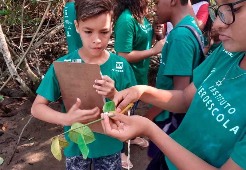 Conhecendo as árvores: alunos do Verdescola criam herbário da APA
