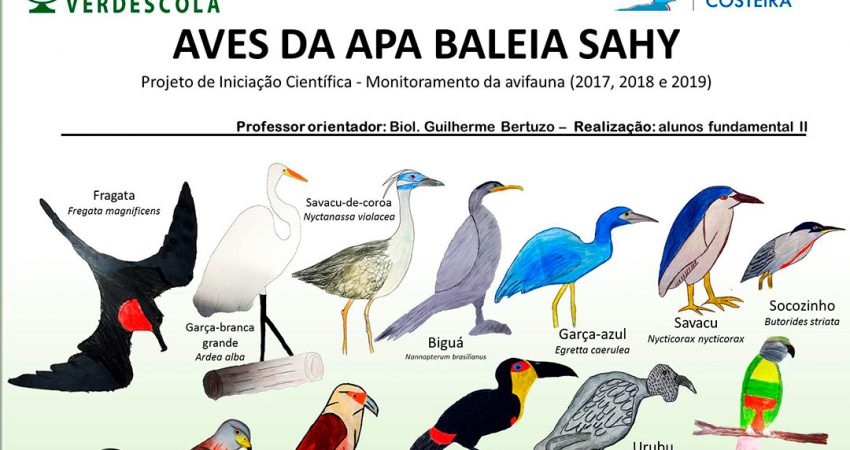 Guia da Aves da APA Baleia Sahy - ICC e Verdescola