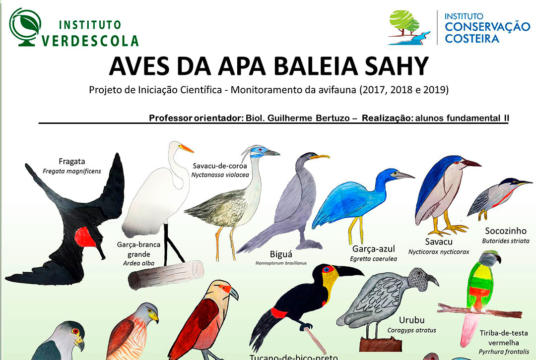 Estado das aves da Caatinga é avaliado - ((o))eco