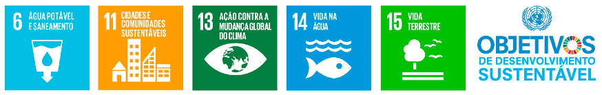 Objetivos de Desenvolvimento Sustentável (ODS) das Nações Unidas (ONU)